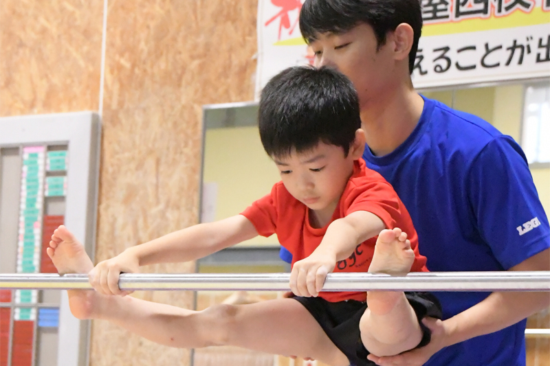 レジックスポーツ 求人情報